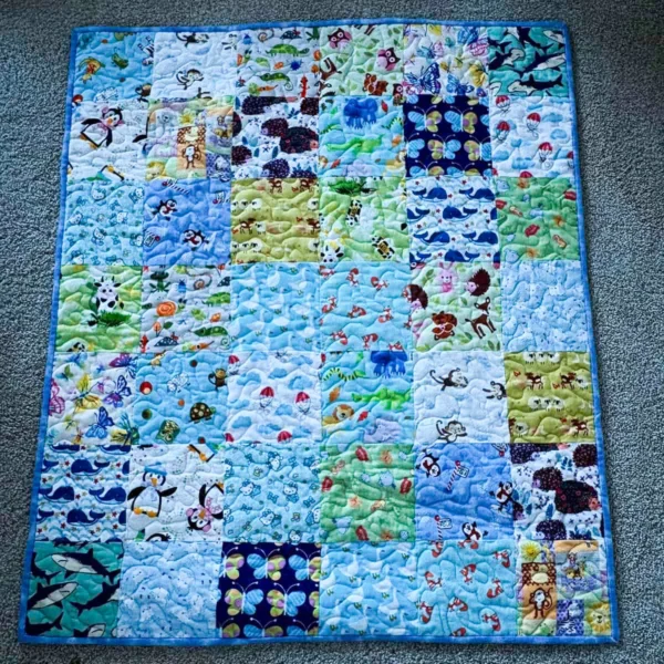 new animal i spy full view