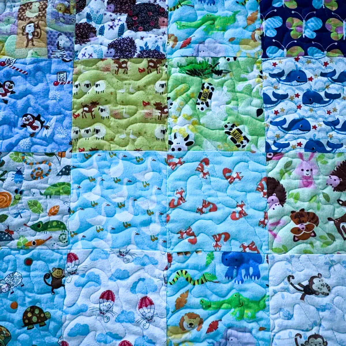 new animal i spy detail 3
