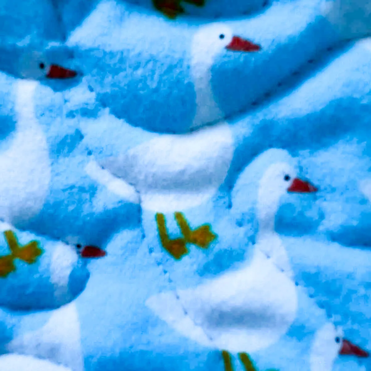 new animal i spy detail 4