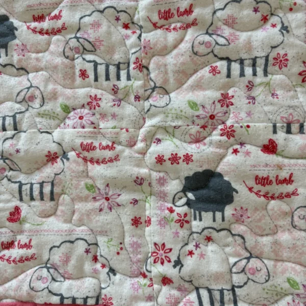 peachy little lamb detail 1