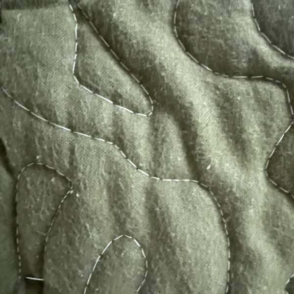 new world of dinosaurs detail 3