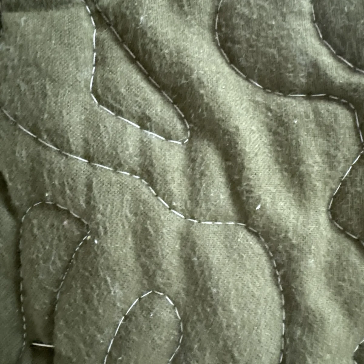World of Dinosaurs Baby Quilt detail 3