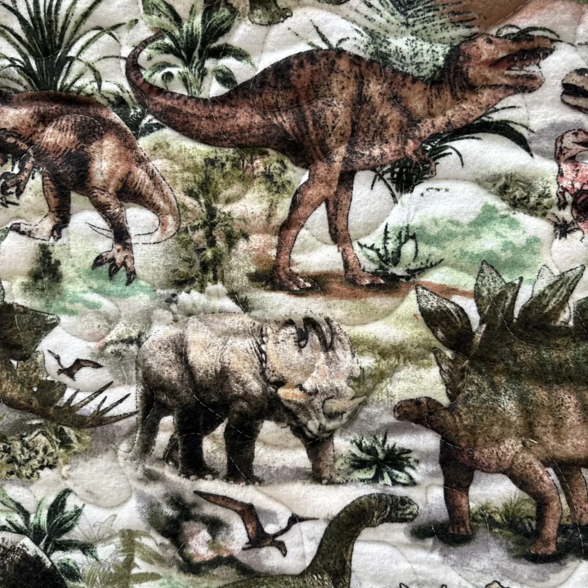 World of Dinosaurs Baby Quilt detail 6