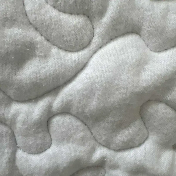 new lavender flowers close up