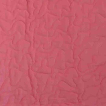 pink ballet dancer back