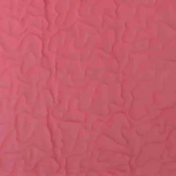 pink ballet dancer back