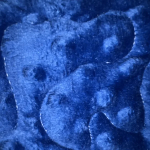 first responders detail 5