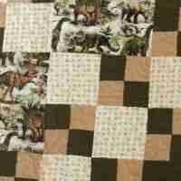 world of dinosaurs quilt detail 4