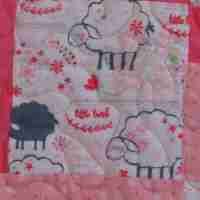peachy little lamb close up