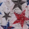 Grand Old Flag baby quilt detail 2