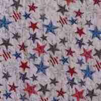 Grand Old Flag baby quilt back
