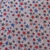 Grand Old Flag baby quilt backing