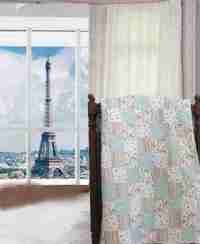 animal travelers in paris