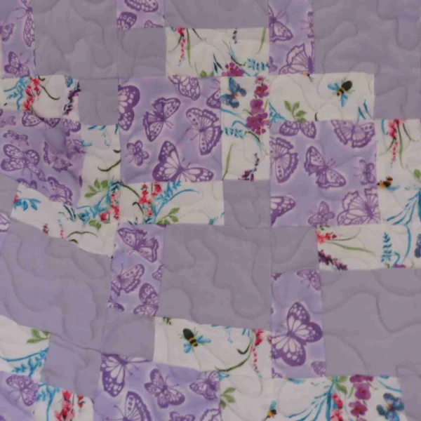 close up butterflies