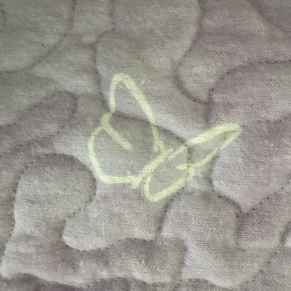 butterfly patches detail 5