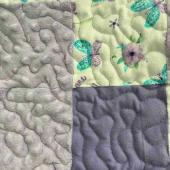 butterfly patches baby quilt