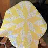 Little Yellow Duck Product Image