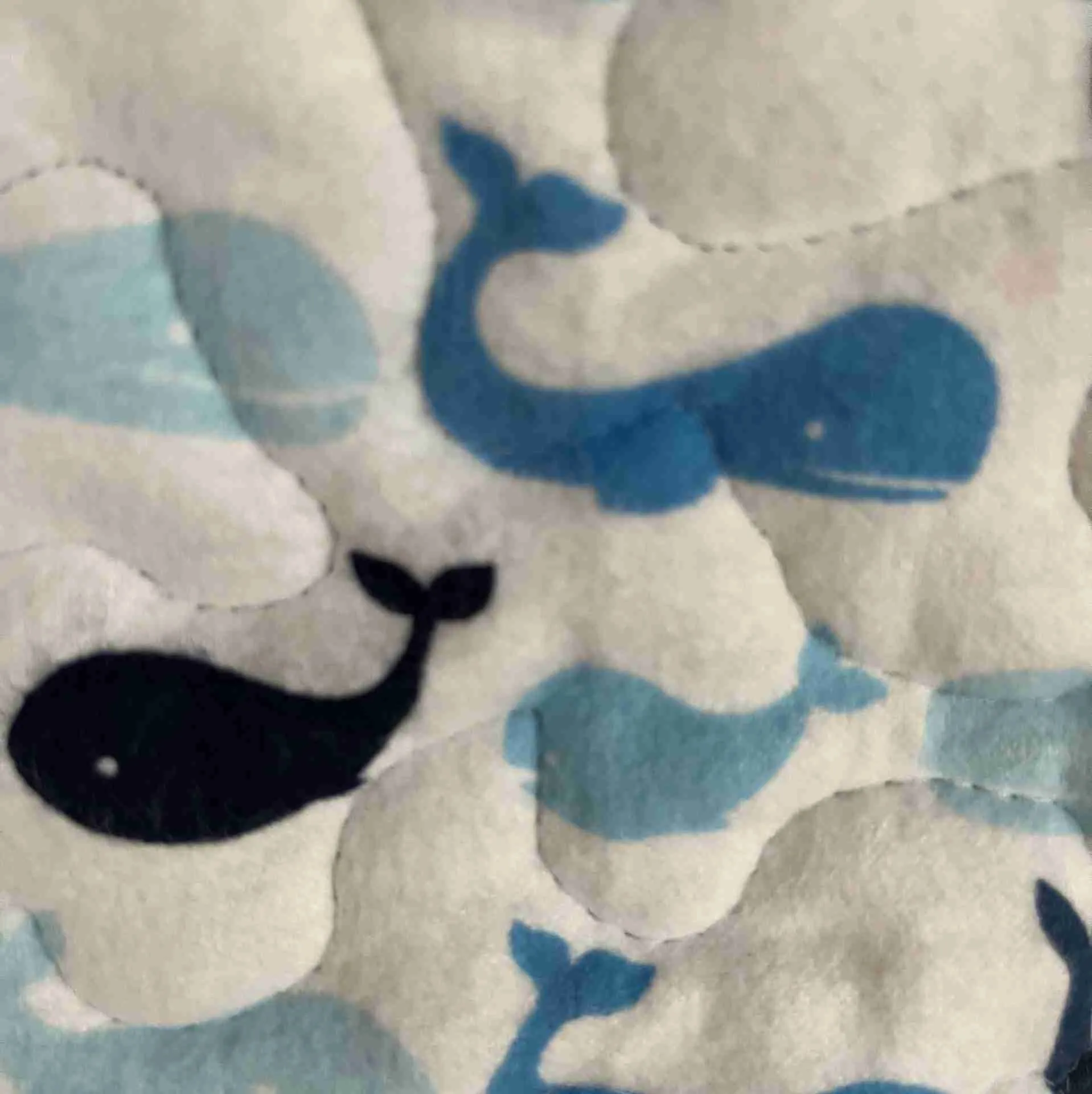 Whale Songs close up