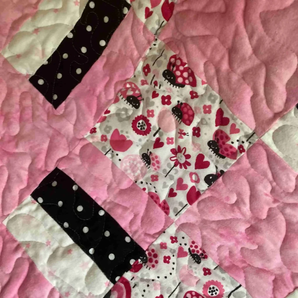Lady Bug Baby Quilt detail 8