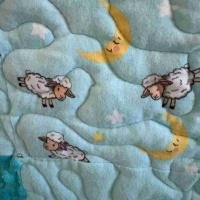 farm lamb closeup