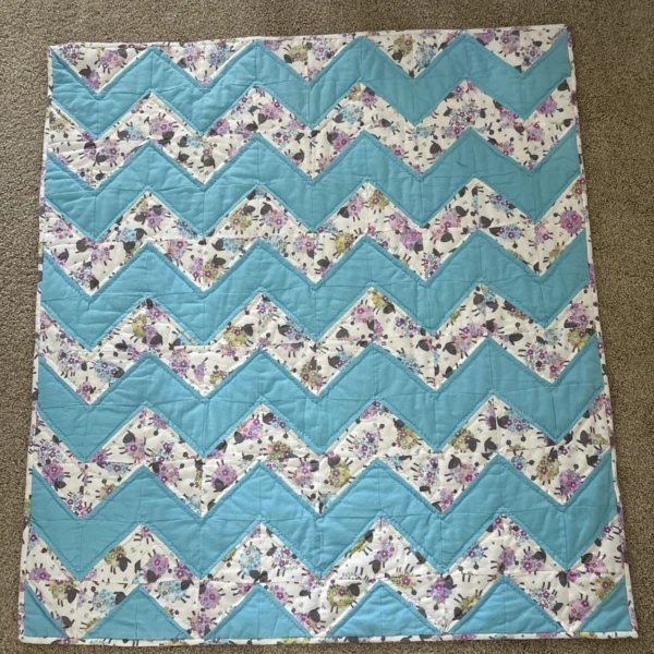 baa baa baby sheep full view