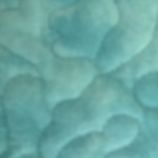 fish patchwork detail 4