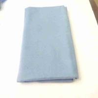 blue ispy backing