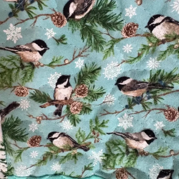 winter wonderland birds