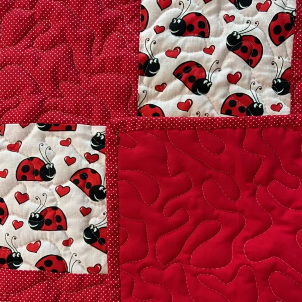 Ladybug Love Baby Quilt detail 1