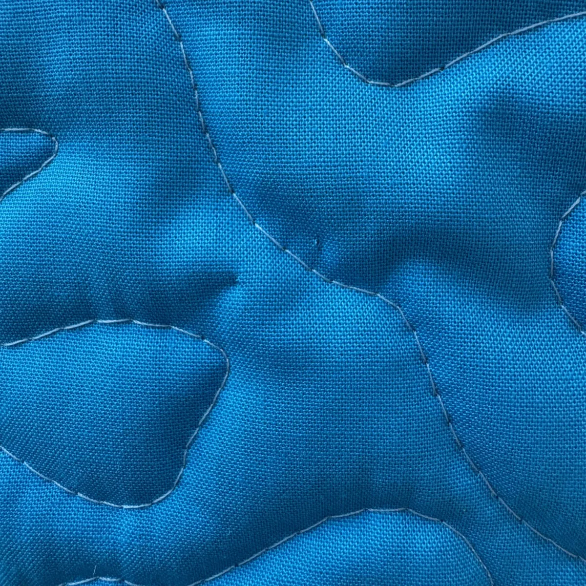 Dinosaur Dreams detail 5