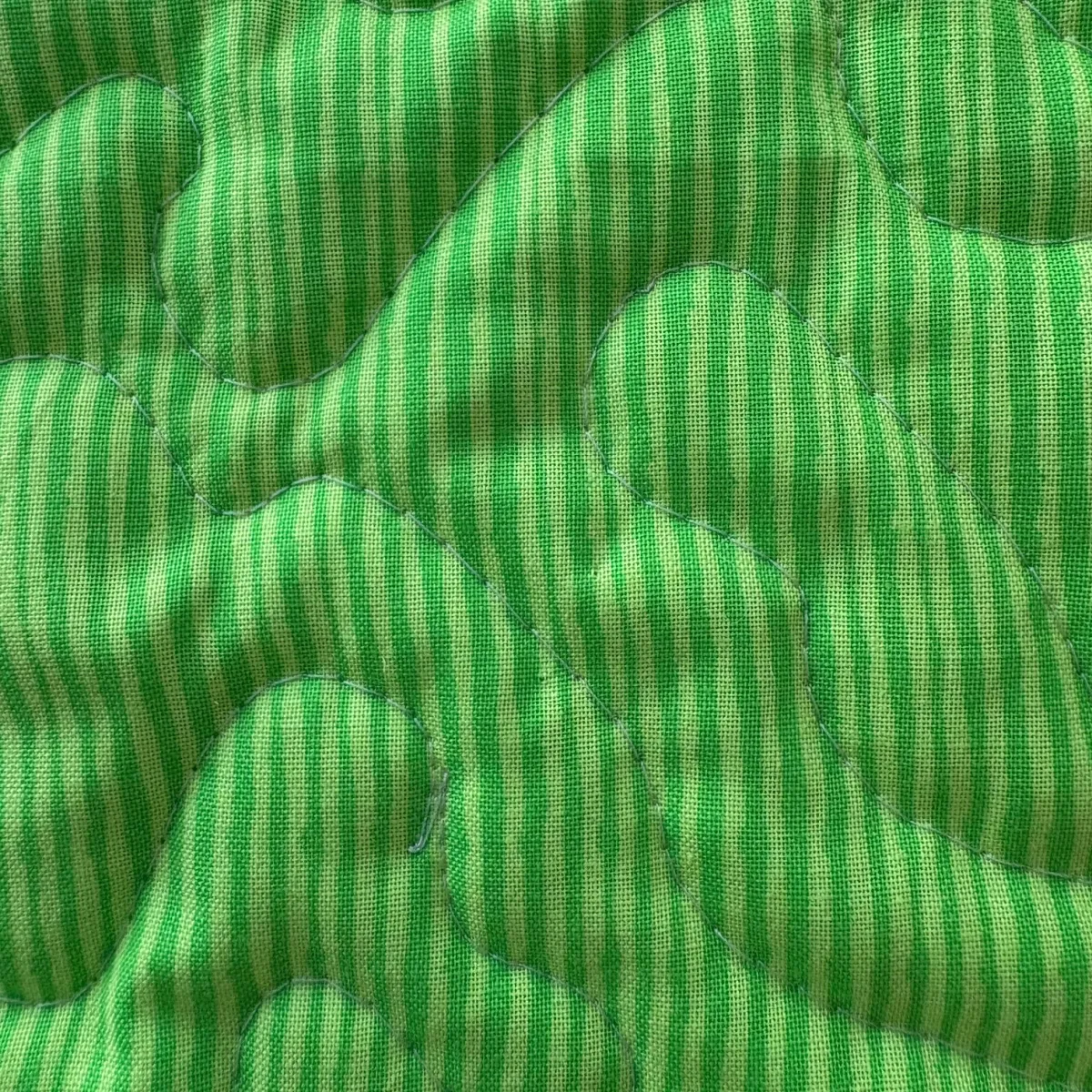 Dinosaur Dreams detail 4