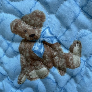 Blue Bears Playmat detail of brown bear